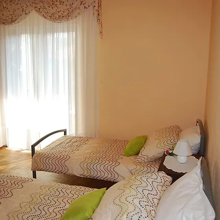 Oljka * Capodistria