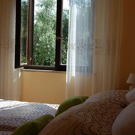 Oljka